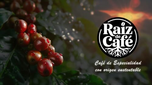 Café sostenible directo del productor