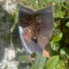 café mexicano sostenible