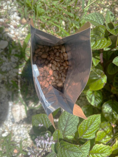 café mexicano sostenible