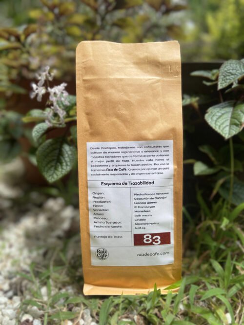 Granos café de especialidad 83