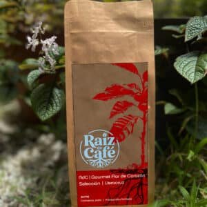 café fresco en grano