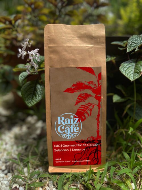café fresco en grano
