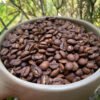 Café de especialidad Veracruz 85 puntos