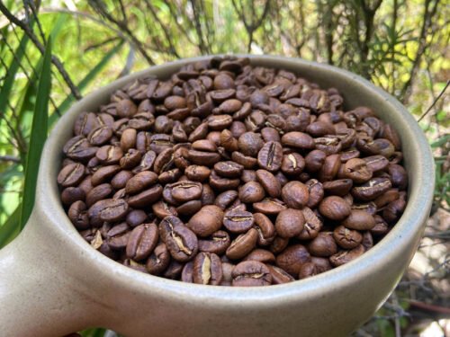 Café de especialidad Veracruz 85 puntos