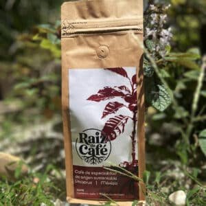 café de especialidad Ixhuatlán 85 puntos