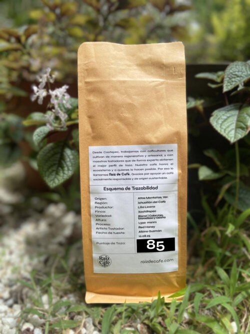 Café artesanal Veracruz SCA 85