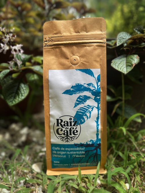Café de especialidad Veracruz 89 puntos