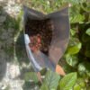 café de origen sustentable