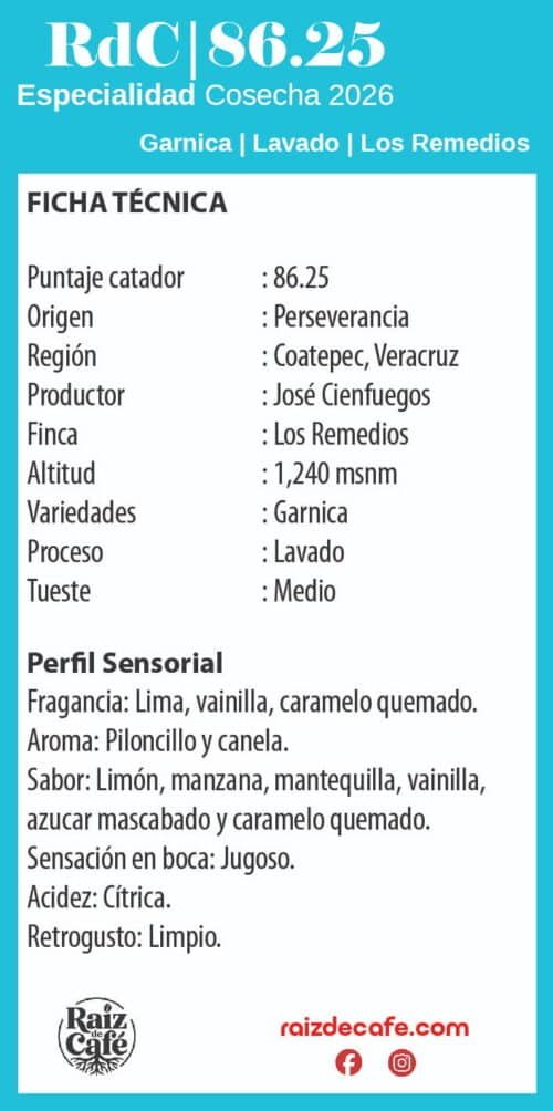 Café Garnica 86.25 Ficha Técnica