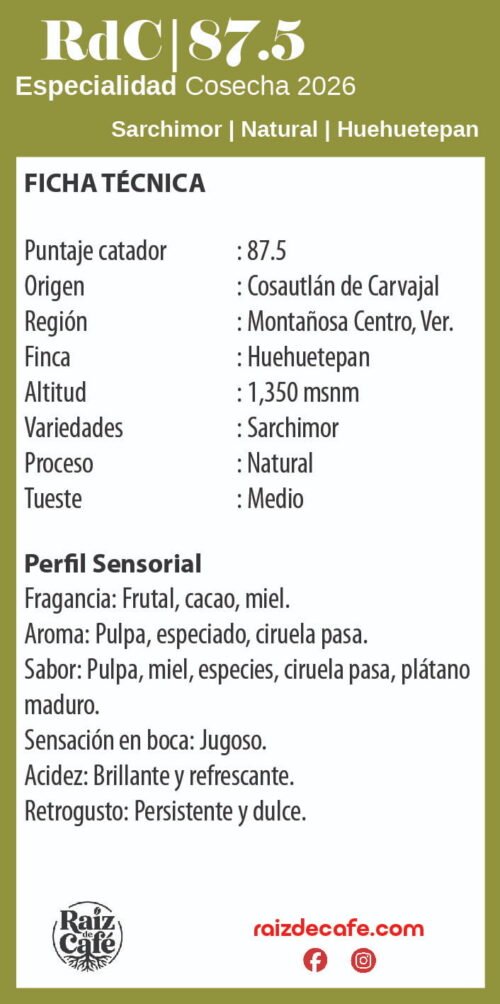 Ficha café de especialidad Sarchimor natural