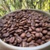 Café de especialidad Veracruz