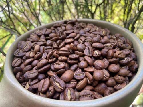 Café de especialidad Veracruz