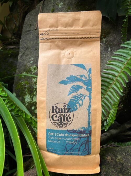 Café de especialidad Veracruz