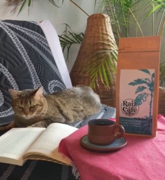 Raíz de Café: continuar la historia del café con café de especialidad en México