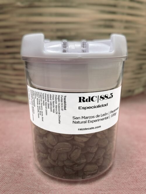 Frasco de café de especialidad San Marcos de León Pacamara Natural Experimental 88.5 SCA de Raíz de Café