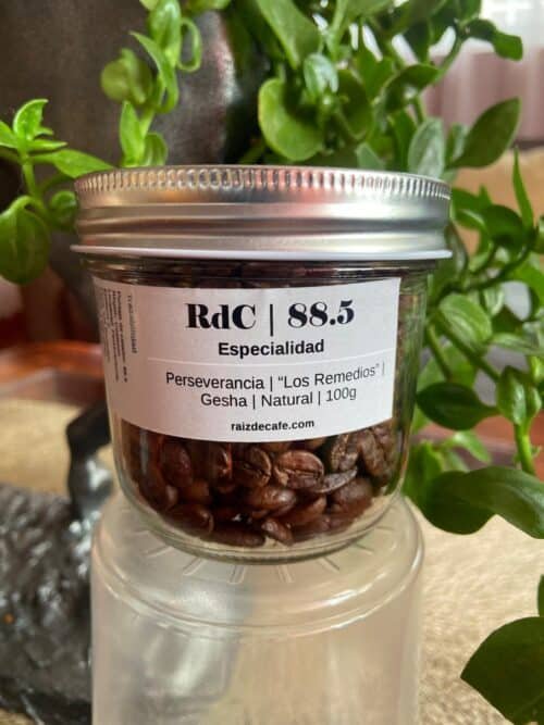 Frasco de café de especialidad Perseverancia Gesha Natural 88.5 SCA de Raíz de Café