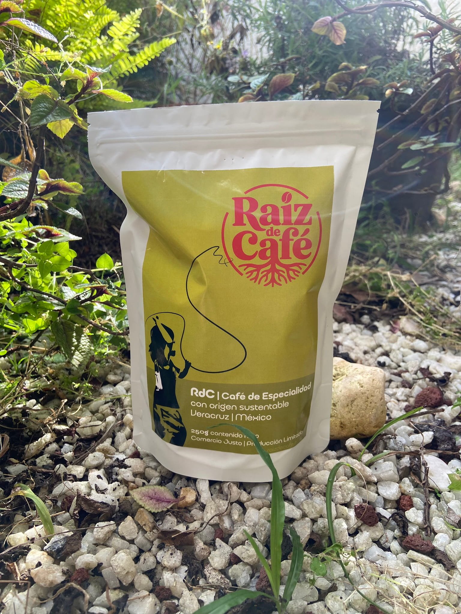 Café de especialidad Veracruz