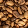 Café Especialidad Sarchimor Granos