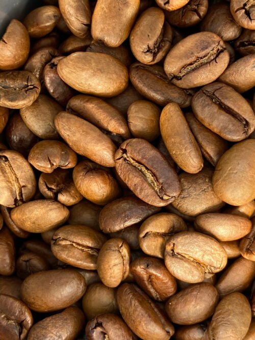 Café Especialidad Sarchimor Granos